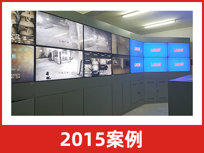 2015案例